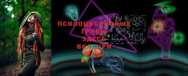 прущие грибы Володарск