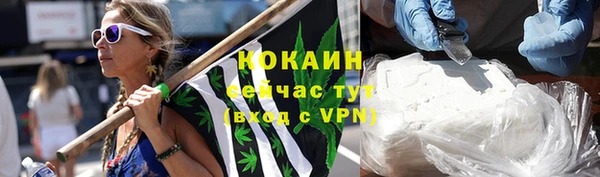 прущие грибы Володарск