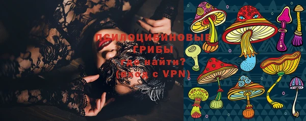 прущие грибы Володарск