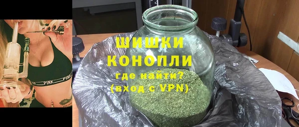 прущие грибы Володарск