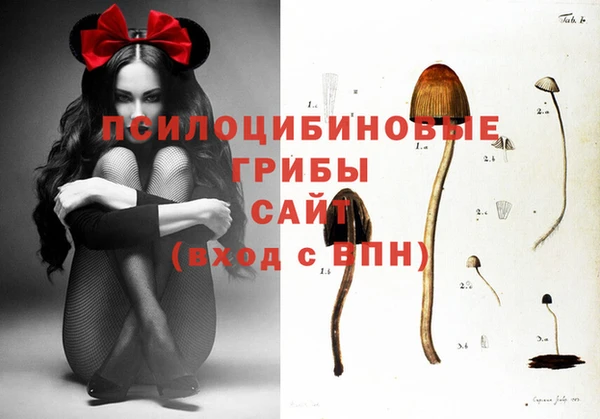 марки nbome Волоколамск